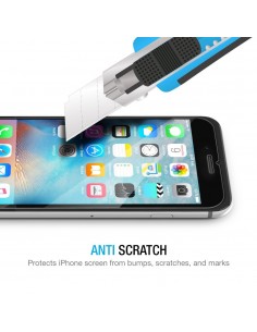 Wozinsky tempered... 2