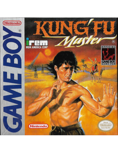 Kung Fu Master GameBoy UNBOXED